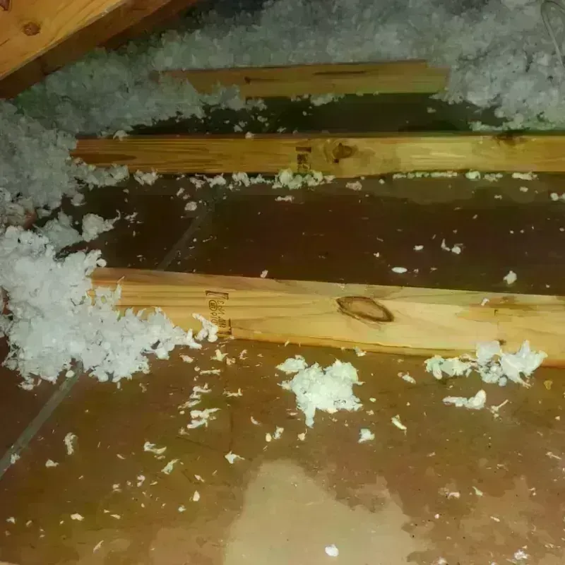 Attic Water Damage in Kewaunee County, WI